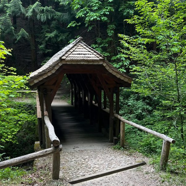 Arboretum du Vallon de l’Aubonne